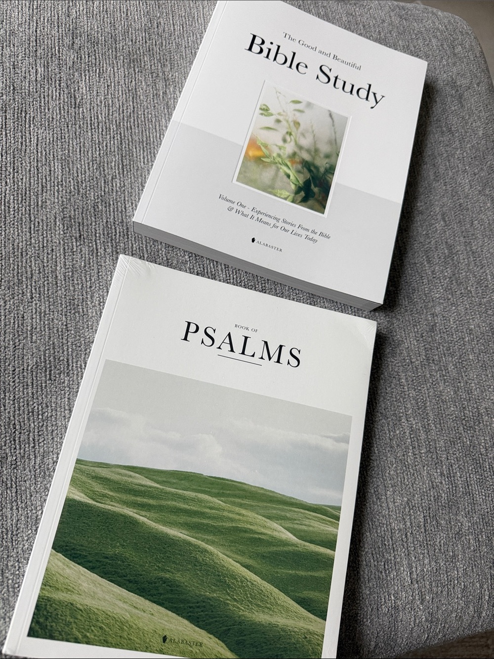 The Good and Beautiful Bible Study Vol 1 Book of Psalms New Alabaster Co